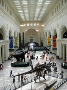 field-museum-edited